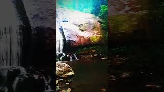 Taste Tyga music Music 🎶 video hiphop nature waterfall travel cascades [upl. by Haleigh24]