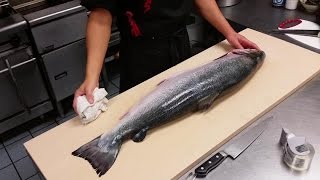 How to Filet a Whole Salmon [upl. by Ssegrub]