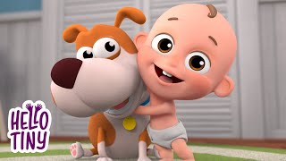 Buddy Dog Song  Bingo Song  Nursery Rhymes amp Kids Songs [upl. by Arvonio]