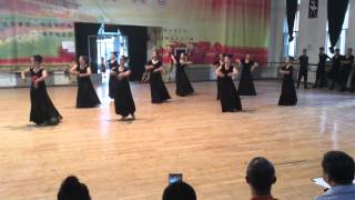 Kashgar Song and Dance Troupe Womens Uyghur Dance Combination 2 [upl. by Imuy]