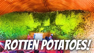 We rush to save our rotting potato cellar [upl. by Zusman]