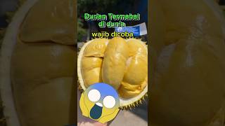 Durian Termahal yang Hanya Tumbuh di Satu Tempat di Dunia durian buah buahbuahan shortsfeed [upl. by Eul]