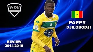 PAPY DJILOBODJI  Nantes  Skills  20142015 HD [upl. by Pippa]