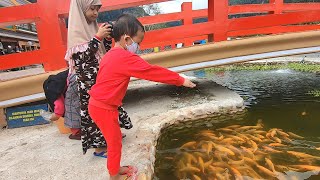 Gavin Beri makan ikan dan Makan Es Krim  Gavin Menangis Karena Jatuh [upl. by Adriaens]