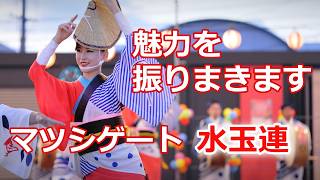 【阿波踊り2024】魅力的な阿波おどり見せます！ 水玉連 まつしげサマーカーニバル [upl. by Sancha]