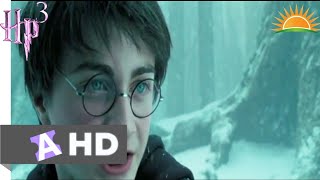 Harry Potter 3 Tamil scenes [upl. by Ellehsem]