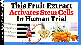 THIS Fruit Extract ACTIVATES 4 Major Types of Stem Cells amp RELIEVES Dry Eyes In HUMAN TRIALS [upl. by Anen]