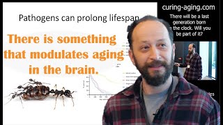 Peter Lidsky  Why do we age and how to stop it  Curing Aging 2024 [upl. by Kcirdehs488]