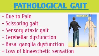 Pathological Gait [upl. by Tnert]