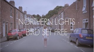 Northern Lights  Bird Set Free  Sia  A Cappella Cover [upl. by Puna]