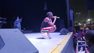 Fireboy DML live in concert afro caribfest Miami 2024 [upl. by Labina]