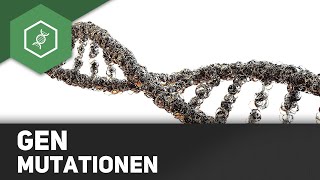 Genmutationen  Rastermutationen Insertion Deletion [upl. by Fiden]