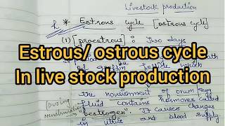 Estrous Cycle in Cows inHindi Livestock ProductionRitikas tutorial [upl. by Retep]