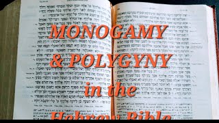 Monogamy amp Polygyny in the Hebrew Bible Part 1 [upl. by Oshinski]