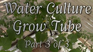 Water Culture Grow Tube  Part 3 Control Box amp Placing Plants [upl. by Nemaj852]