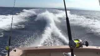 Costa Rica Sportfishing [upl. by Jd235]