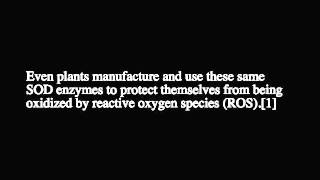 Superoxide Dismutase the Enzyme of Youth [upl. by Oiratnom]