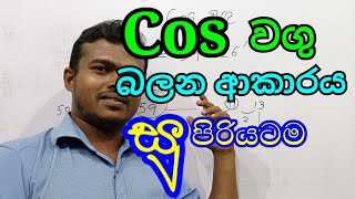 grade 11 mathematics  thrikonamithiya   sin cos tan sinhala  ත්‍රිකෝණමිතිය ol  udara maths [upl. by Gian]