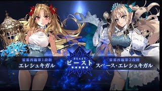 【FGO】Summer Space Ereshkigal Beast Teaser and Noble Phantasm【FateGrand Order】 [upl. by Buckels355]