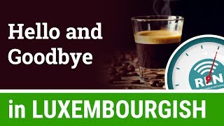 How to say Hello and Goodbye in Luxembourgish  One Minute Luxembourgish Lesson 1 [upl. by Ymot]