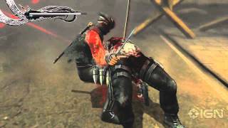 Ninja Gaiden 2 Invincibility Glitch [upl. by Noid]