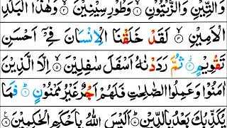 Surah AtTin Mishary Al Afasy Tajweed Quran [upl. by Buxton]