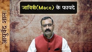 Javitri ke fayde aur upyog  जावित्री के फायदे और उपयोग  benefits of Mace  Ayurved shala [upl. by Lombard]