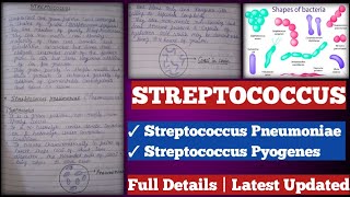 Streptococcus  streptococcus Pyogenes  streptococcus pneumoniae [upl. by Dorraj]