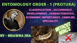 Apterygota order  Protura  BY  BHAWNA JHA [upl. by Akimet658]