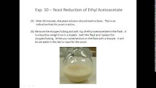 Exp 10  Yeast Reduction PreLab Lecture Video [upl. by Eunice]