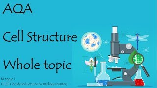 The whole of CELL STRUCTURE AQA Biology or combined science 91 revision for paper 1 [upl. by Ylrehc931]