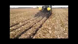 ZRXPLURIBUS in corn stalks [upl. by Acimat843]