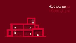 Red Box Premium  فايبر في جميع أنحاء منزلك [upl. by Eidod]