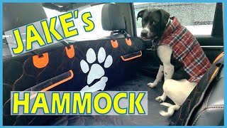 Large Car Dog Hammock  BABYLTRL Quick Review [upl. by Polinski952]