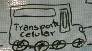 Transporte celular [upl. by Aridatha11]