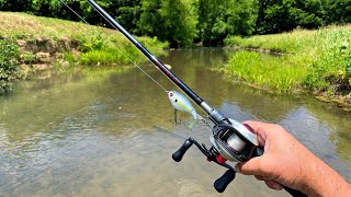 Fishing Big Lures in a Small Creek [upl. by Kayle]