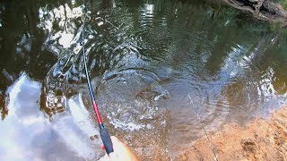 Murray cod fishing with cheese and worms feat Brett Corker [upl. by Lenahtan785]