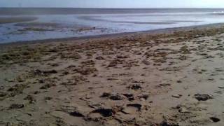 Metal detecting Skeg and a walk on a bombing range [upl. by Niro]