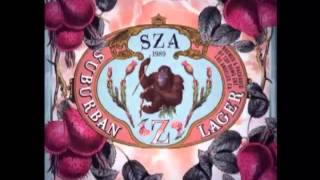 Full Album SZA  Z Zip Download [upl. by Patterson405]