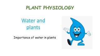 Water and its importance in plants  Plant Physiology [upl. by Sokul]