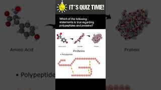 Polypeptides vs Proteins [upl. by Takakura410]