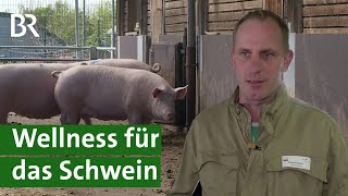 Forschung an TierwohlSchweinestall Mehr Tiergesundheit in der Schweinehaltung  Unser Land  BR [upl. by Palermo]