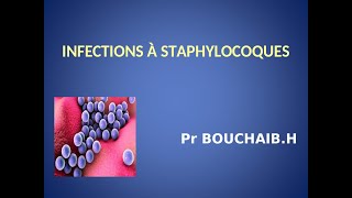 Infections à staphylocoques [upl. by Hogen]