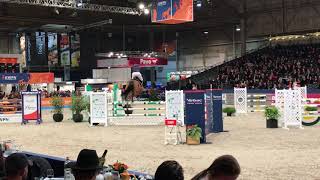 Gaspahr KWPN Stallion show 2018 hxstallions [upl. by Hardner]