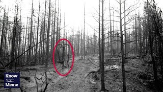 Know Your Meme Slender Man [upl. by Cacilie]