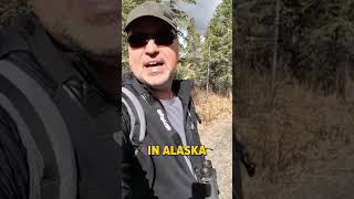 Where to See Wild Animals in Alaska [upl. by Isnyl947]