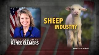 Renee Ellmers  Way Too Liberal for NC [upl. by Enialedam]