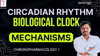 Circadian Rhythm Malayalam Biological clock Molecular mechanisms malayalam Biorhythms malayalam [upl. by Chobot312]