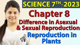 Difference in Asexual amp Sexual Reproduction  Chapter 8 Reproduction in Plants Science Class 7 [upl. by Niowtna642]