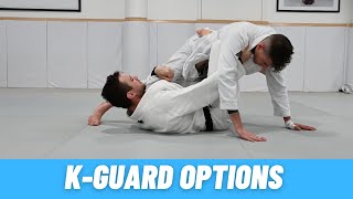 K Guard Options [upl. by Jary366]